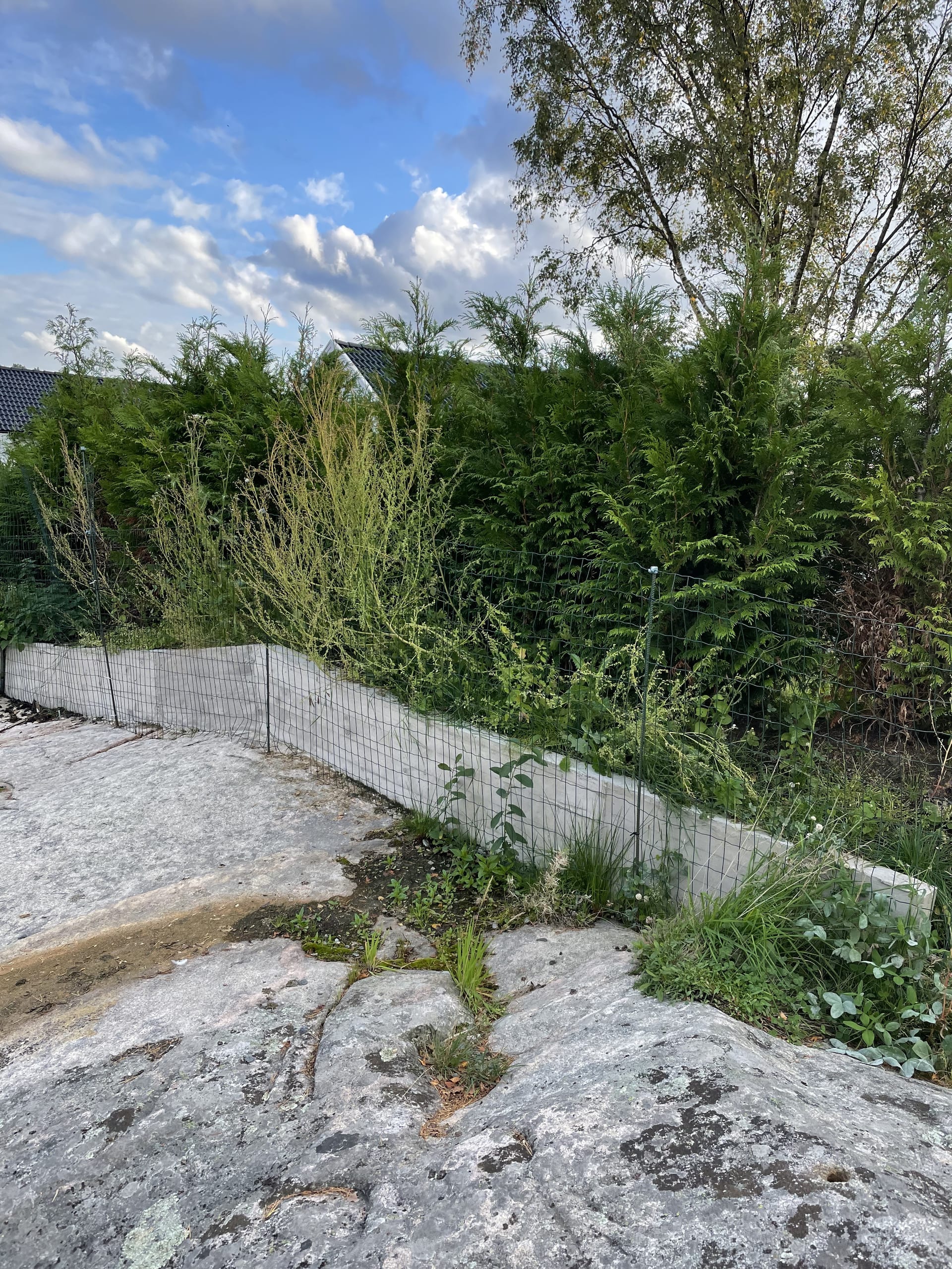 Gjutning av mur Hovås – Grönlund Mureri